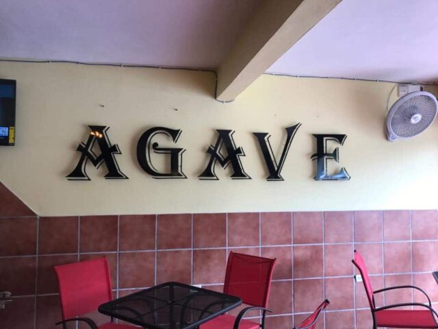 Agave Side Bar PR Luquillo 3 Agave Side Bar PR Luquillo