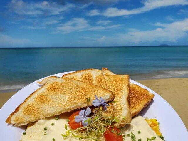 Eco Cafe Rincon 2