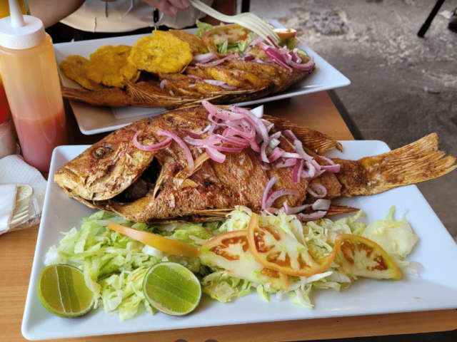 El Farol Pi√±ones 3