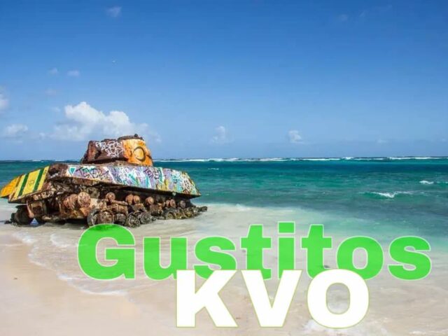 WOOD and CO. Artisan Pizza And More Arecibo 5 Gustitos KVO Culebra