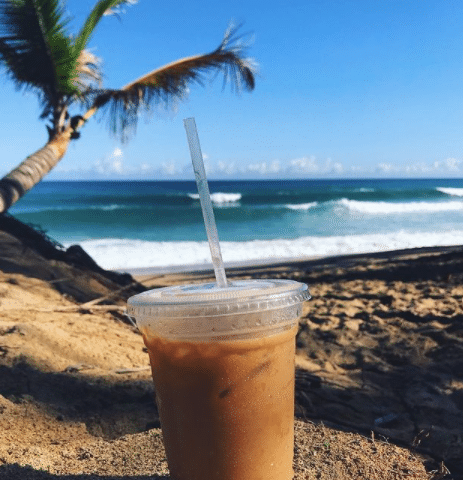 Jake's Java Rincon 5 Jakes Java Rincon 4