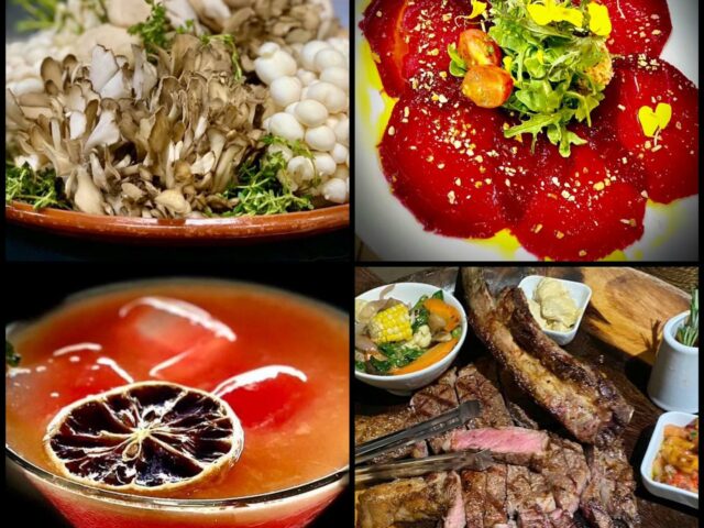L'Olivo Hato rey 4 LOlivo Hato rey 3