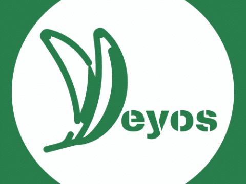 Los Yeyos Restaurant old San Juan