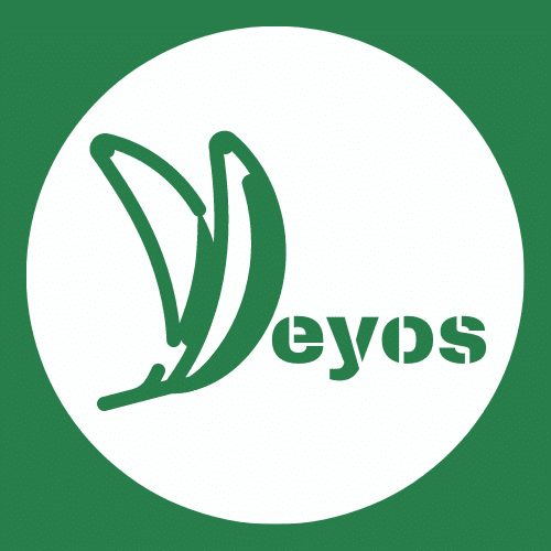 Puerto Rico Local Restaurant Directory 14 Los Yeyos Restaurant