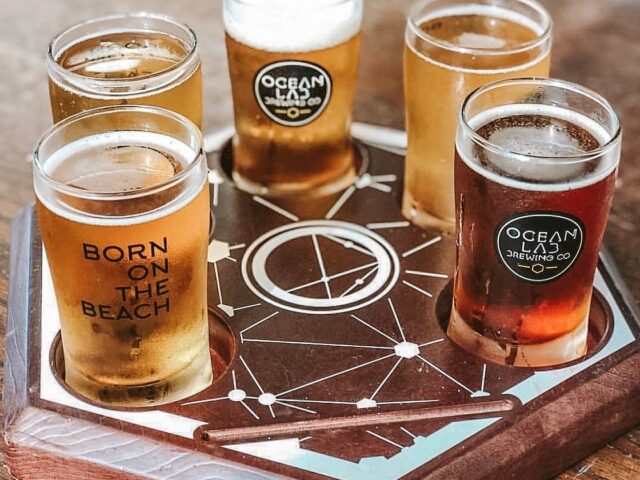 Ocean Lab Brewing Co. Isla verde 5
