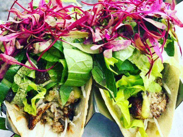 Sana Farm to Table Rincon 2