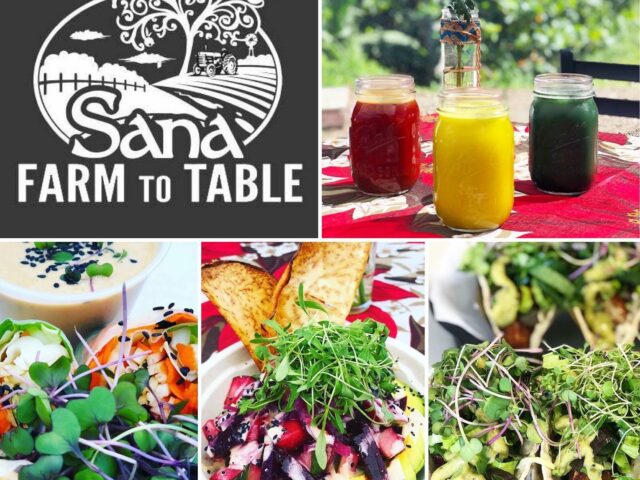 Sana Farm to Table Rincon 5