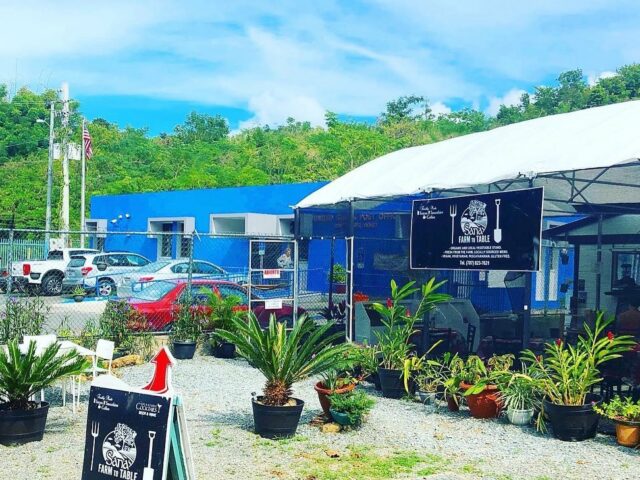 Sana Farm to Table Rincon 7