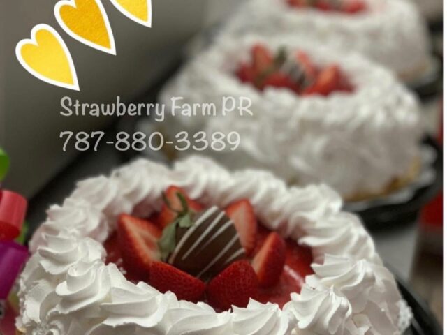 Strawberry Farm PR Arecibo 2 Strawberry Farm PR Arecibo 1