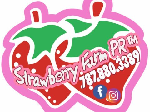 Strawberry Farm PR Arecibo 1 Strawberry Farm PR Arecibo
