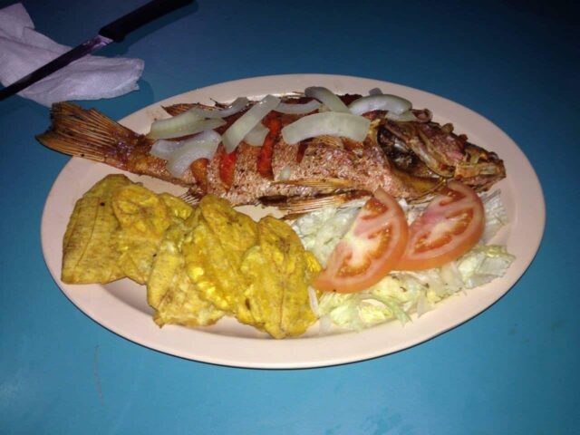 The New Reef Pi√±ones 1